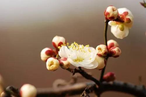 立春前一天绝日忌讳什么（今年立春应该怎么躲呢？）