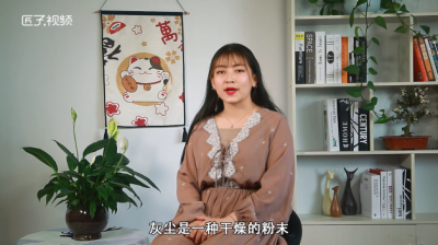 ​灰尘的主要成分是什么