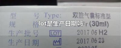 ​lot是生产日期吗