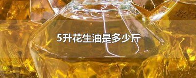 ​5升花生油是多少斤