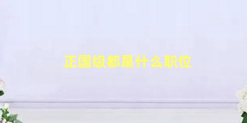 正国级都是什么职位