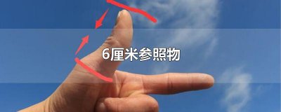 ​6厘米参照物