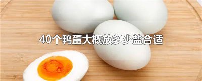 ​40个鸭蛋 大概放多少盐合适