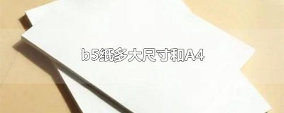 ​b5纸多大尺寸和A4