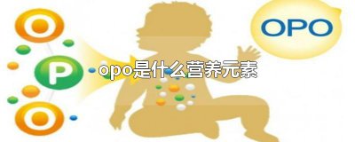 ​opo是什么营养元素