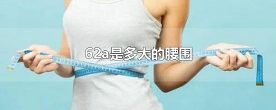 ​62a是多大的腰围