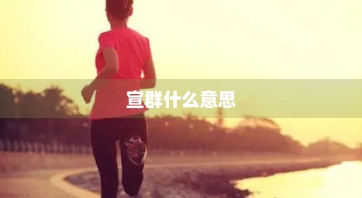 宣群什么意思