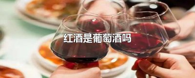 ​红酒是葡萄酒吗