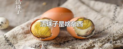 ​活珠子是啥东西