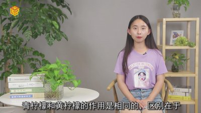 ​青柠檬和黄柠檬的区别是什么