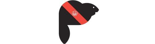 北京吉祥物的五个福娃分别叫什么(分别叫什么名字)
