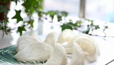 ​吃燕窝会上火吗(吃燕窝会上火吗 热气)
