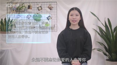 ​天堂鸟花语
