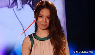 ​she组合为什么退出了（田馥甄退出SHE组合的原因）