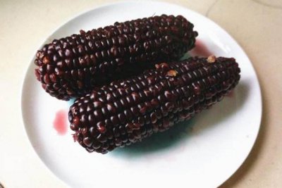 ​黑玉米为什么不能吃(那些人不宜吃黑玉米)
