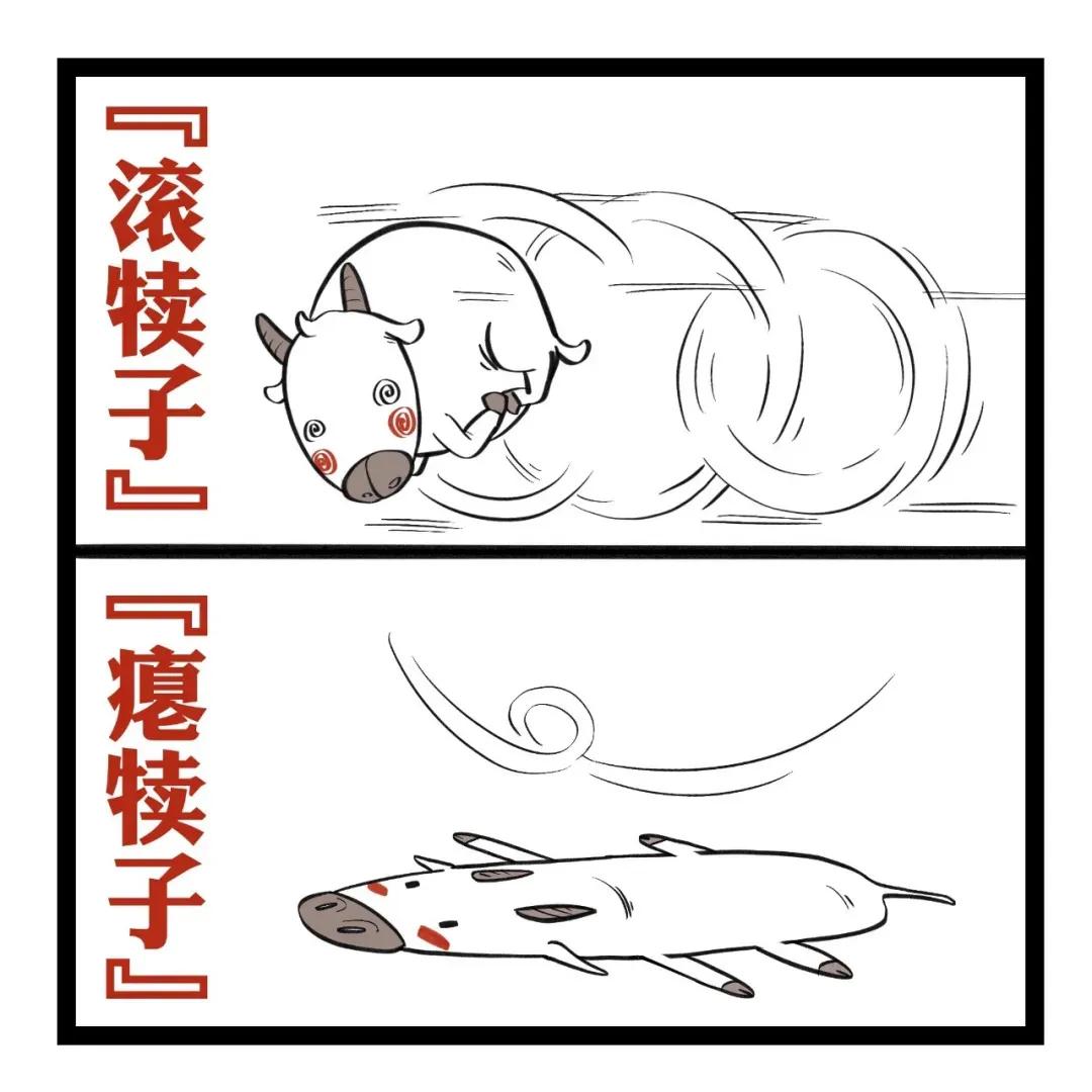 东北骂人方言有哪些（东北骂人的话经典语录）