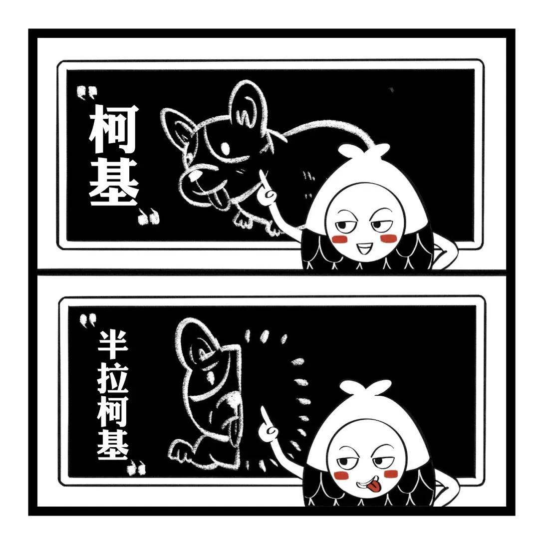 东北骂人方言有哪些（东北骂人的话经典语录）