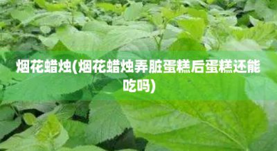 ​烟花蜡烛(烟花蜡烛弄脏蛋糕后蛋糕还能吃吗)