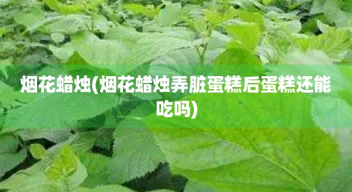 烟花蜡烛(烟花蜡烛弄脏蛋糕后蛋糕还能吃吗)