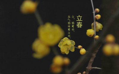 ​二十四节气日期(二十四节气日期怎么记)