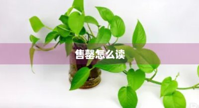 ​售罄怎么读(龃龉龌龊怎么读)
