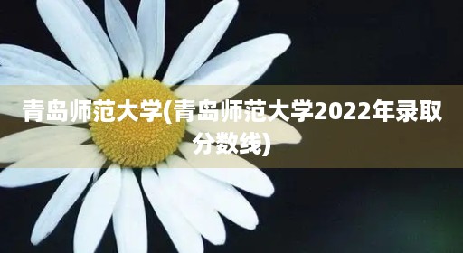 青岛师范大学(青岛师范大学2022年录取分数线)