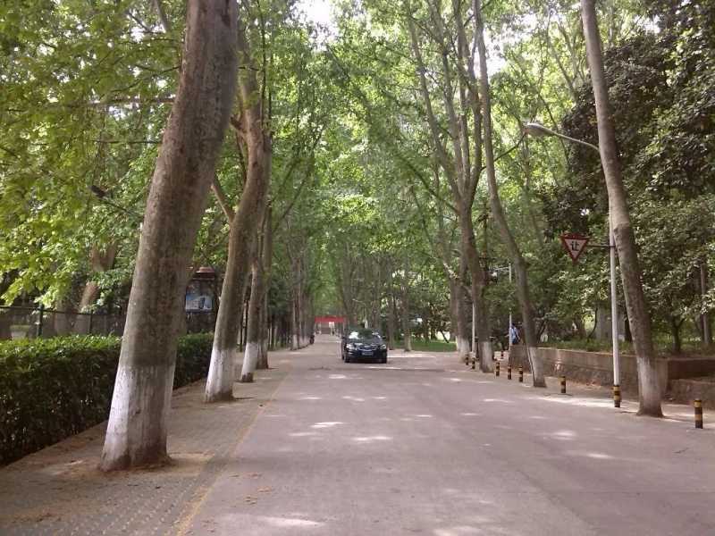 黄鹤楼在哪（什么是湖北？）
