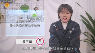 ​山魈是什么动物