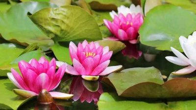 ​北京财经贸易学院(北京财经贸易学院：培养高素质经济管理人才的摇篮)