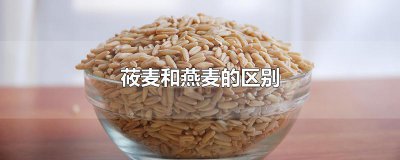 ​莜麦和燕麦的区别