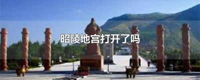​昭陵地宫打开了吗