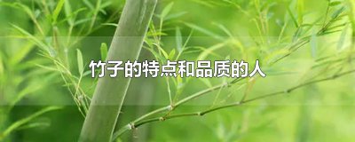 ​竹子的特点和品质的人