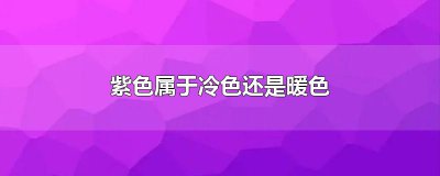 ​紫色属于冷色还是暖色
