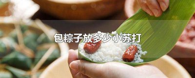 ​包粽子放多少小苏打