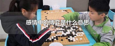 ​感情中的博弈是什么意思