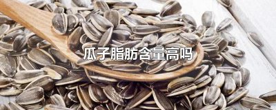 ​瓜子脂肪含量高吗