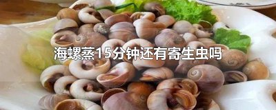 ​海螺蒸15分钟还有寄生虫吗