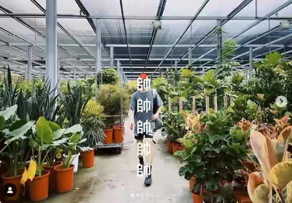 林宥嘉绯闻女友 