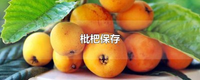 ​枇杷保存