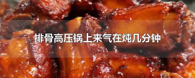 ​排骨高压锅上来气在炖几分钟