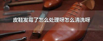 ​皮鞋发霉了怎么处理呀怎么清洗呀
