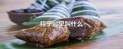 ​粽子最早叫什么