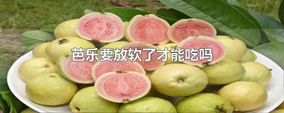 ​芭乐要放软了才能吃吗