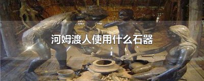 ​河姆渡人使用什么石器