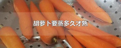 ​胡萝卜要蒸多久才熟