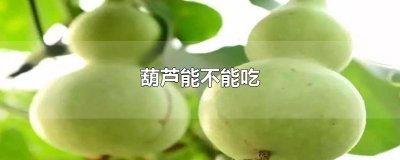 ​葫芦能不能吃