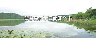 ​普者黑属于云南哪个市