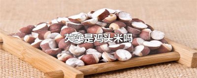 ​芡实是鸡头米吗