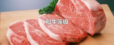 ​和牛等级