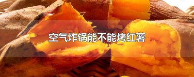 ​空气炸锅能不能烤红薯